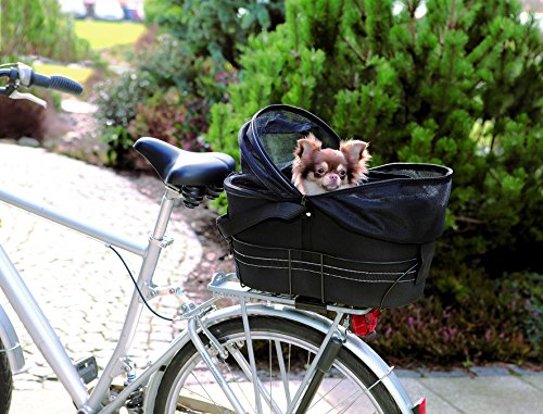 Comment porter votre petit chien en vélo ?